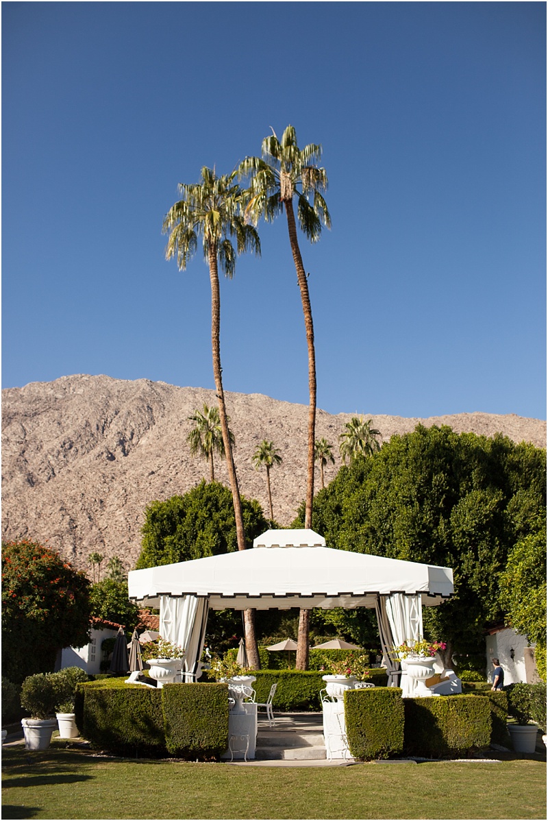 Palm Springs, CA - Natalie Probst Photography